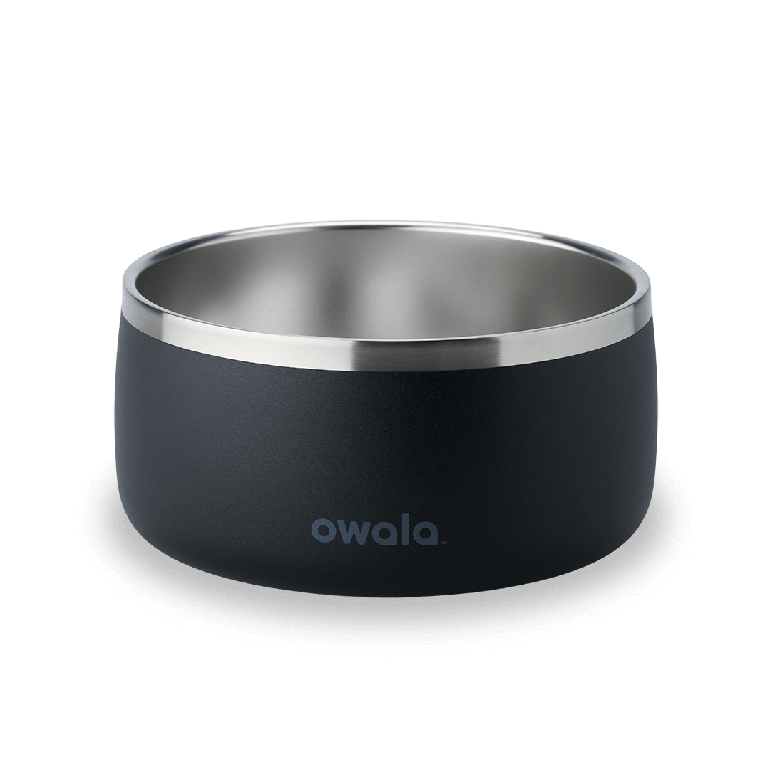 Pet Bowl JUVO3 RC8LFG 511OV9 OX6WGA