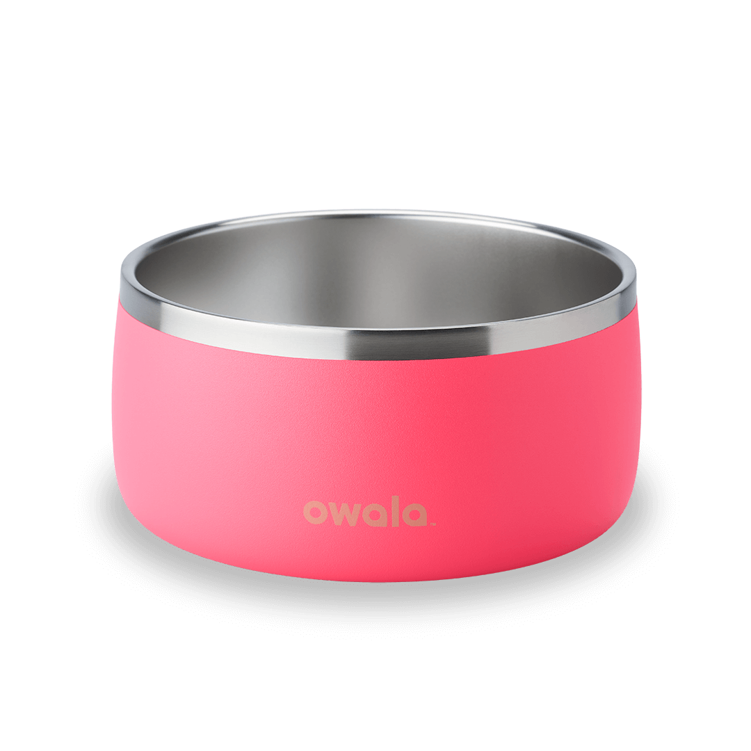 Pet Bowl JUVO3 RC8LFG 511OV9 OX6WGA