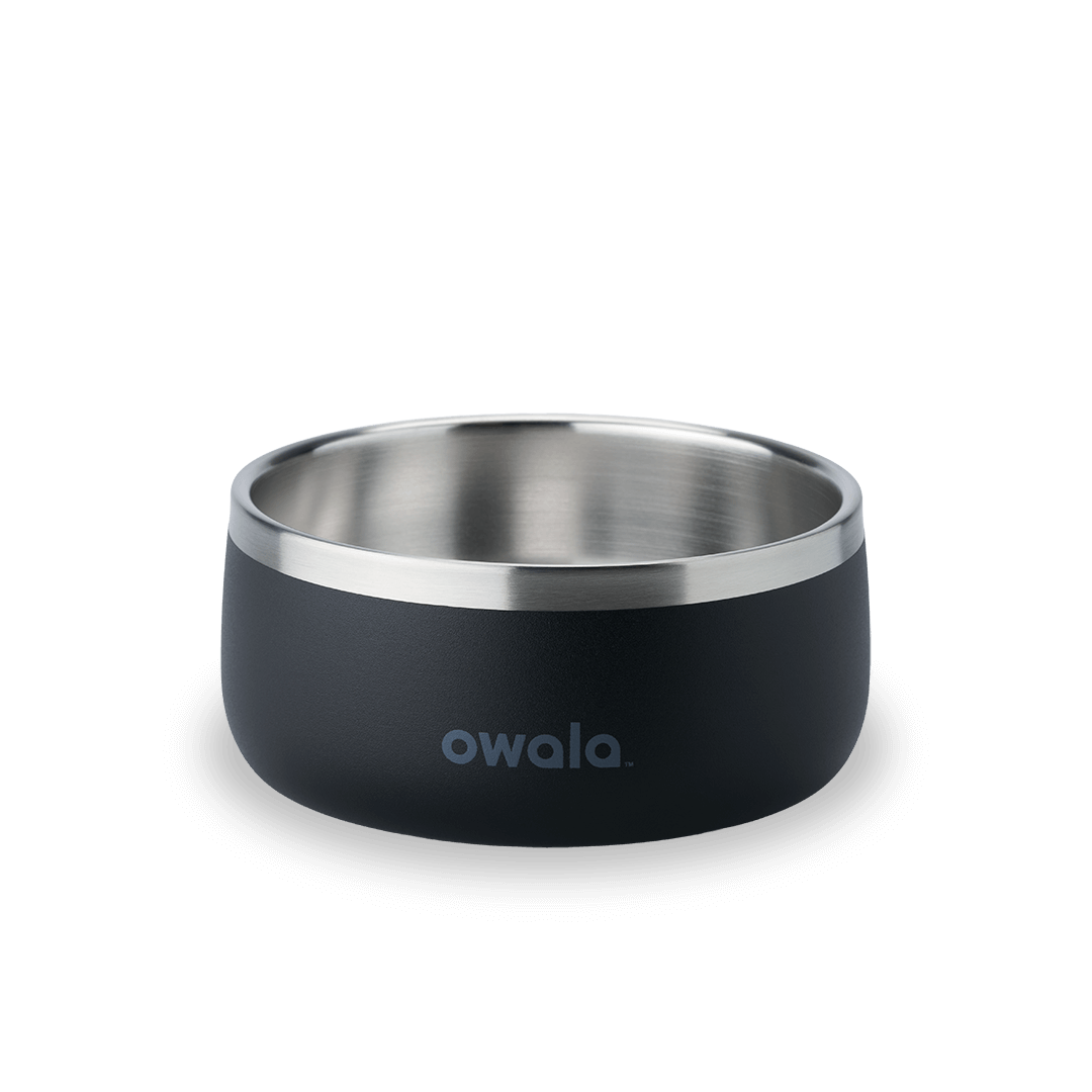 Pet Bowl JUVO3 RC8LFG 511OV9 OX6WGA