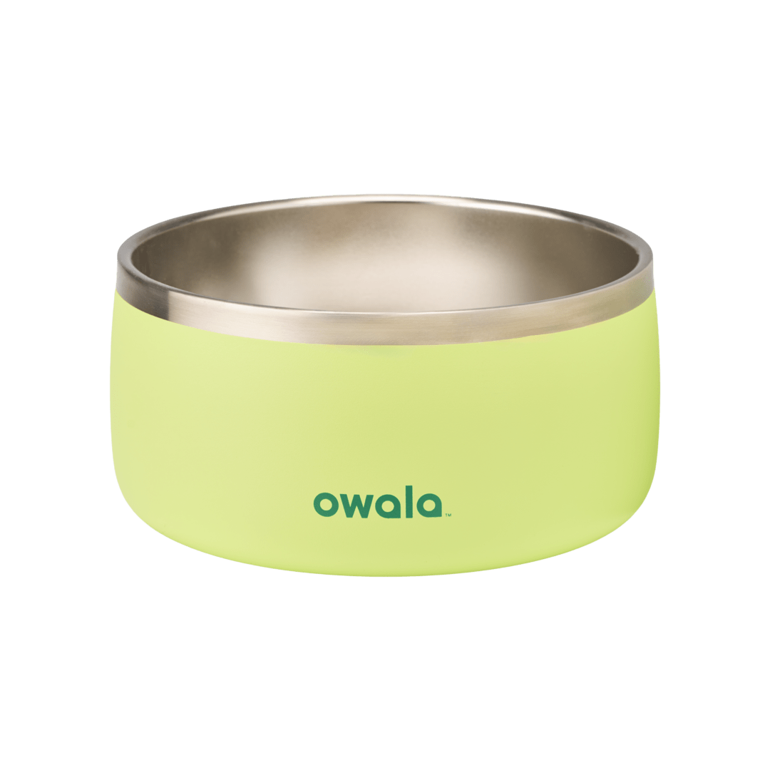Pet Bowl JUVO3 RC8LFG 511OV9 OX6WGA