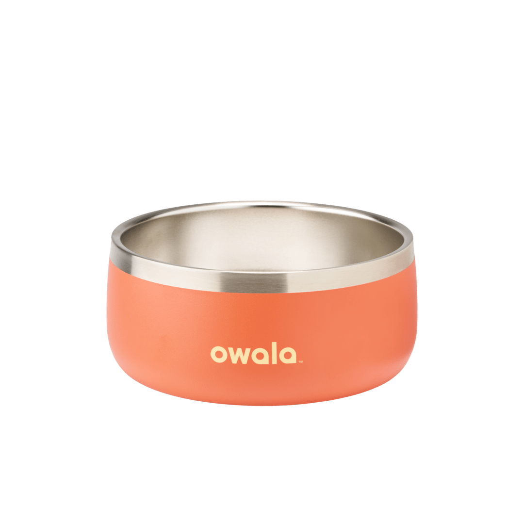 Pet Bowl JUVO3 RC8LFG 511OV9 OX6WGA