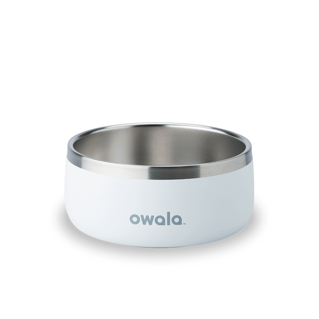 Pet Bowl JUVO3 RC8LFG 511OV9 OX6WGA
