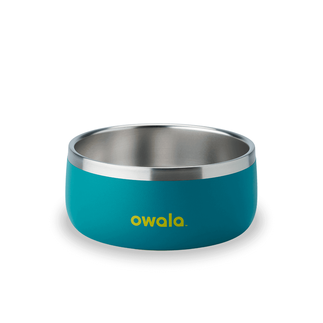 Pet Bowl JUVO3 RC8LFG 511OV9 OX6WGA