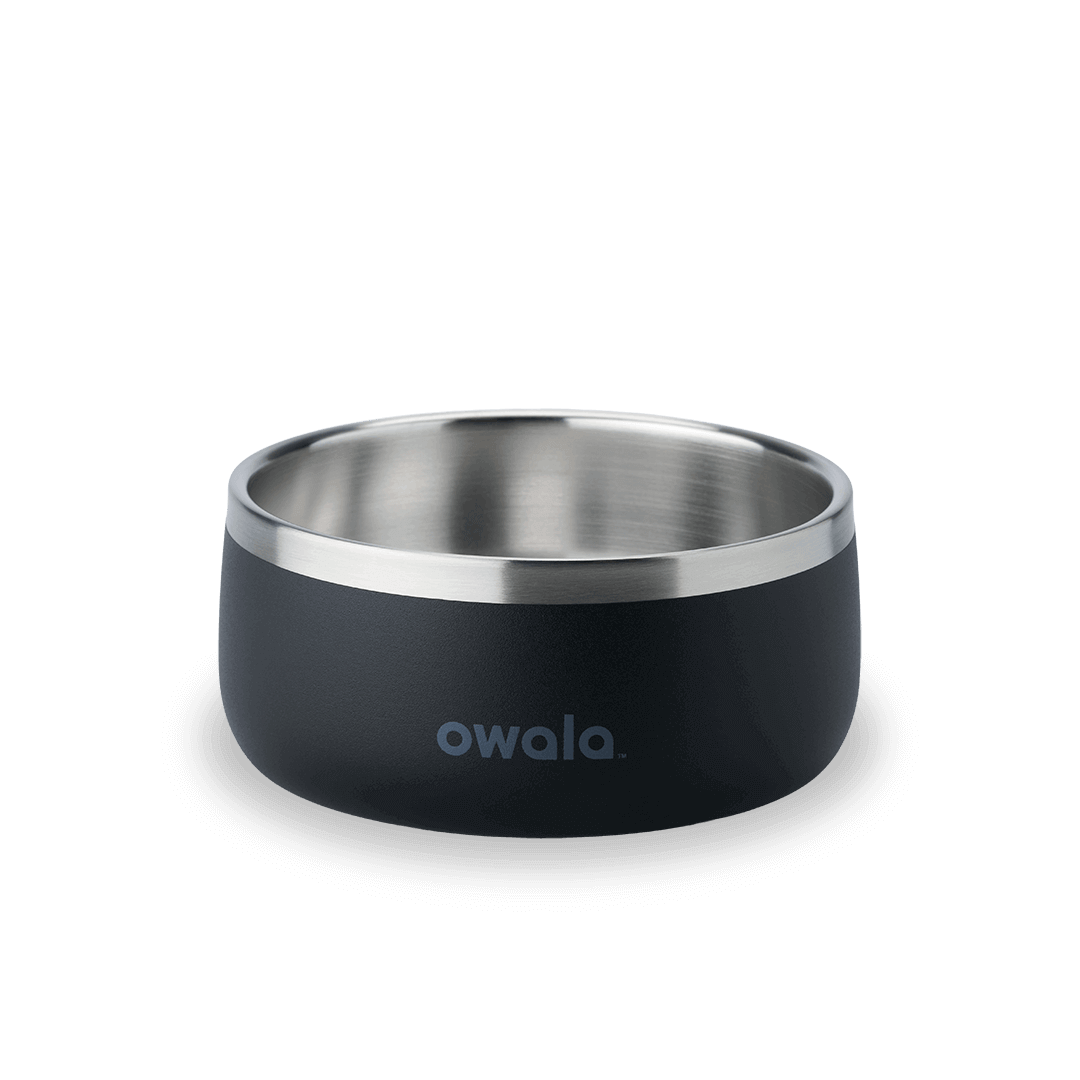 Pet Bowl JUVO3 RC8LFG 511OV9 OX6WGA