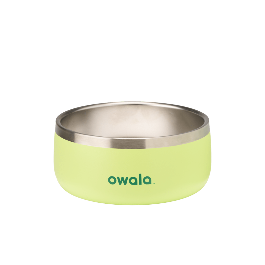 Pet Bowl JUVO3 RC8LFG 511OV9 OX6WGA