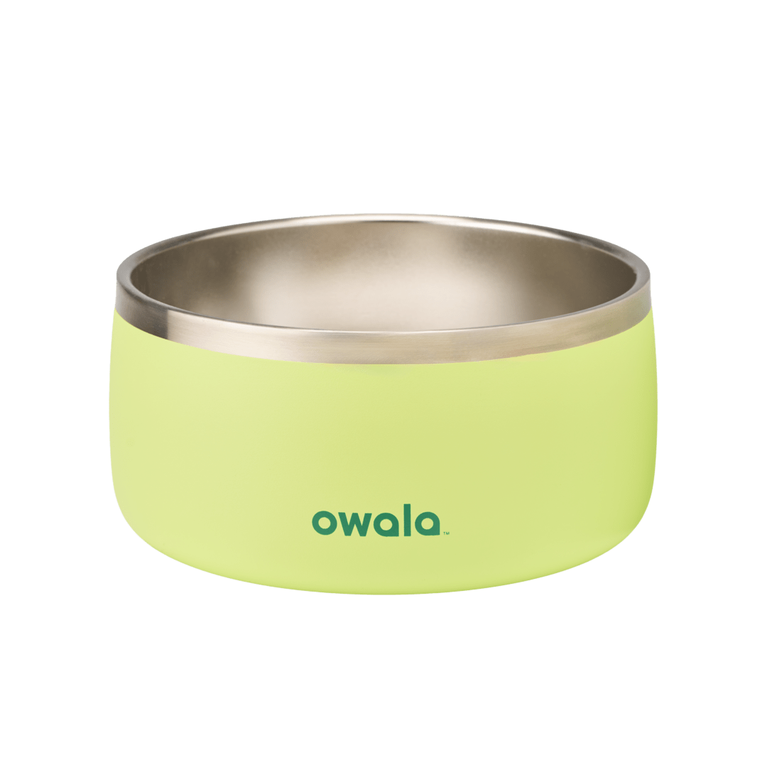 Pet Bowl JUVO3 RC8LFG 511OV9 OX6WGA